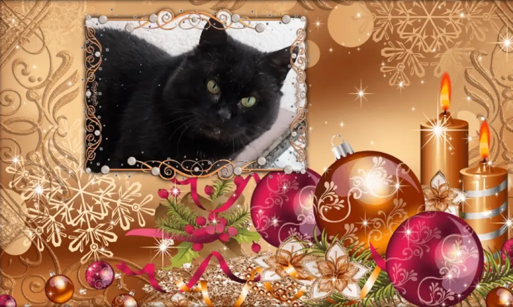 Condolence image of Carmen, Ravi und Zausel