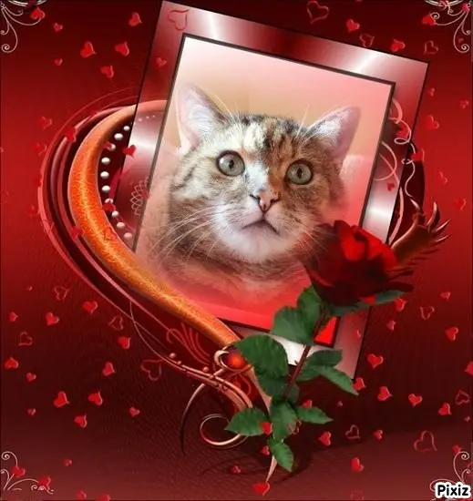 Condolence image of Sternchenpost ⭐