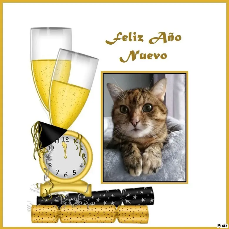 Condolence image of Patricia mit Bunny ❤️