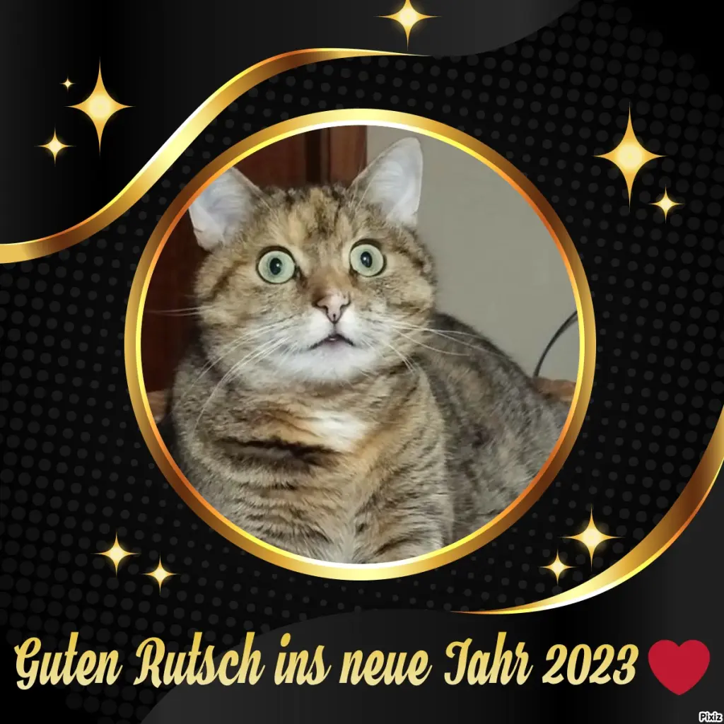 Condolence image of Tanja mit Timmy im Herzen