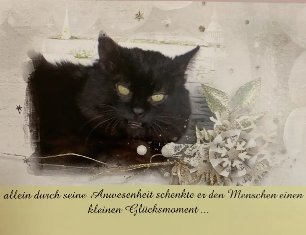 Condolence image of Carmen, Ravi und Zausi