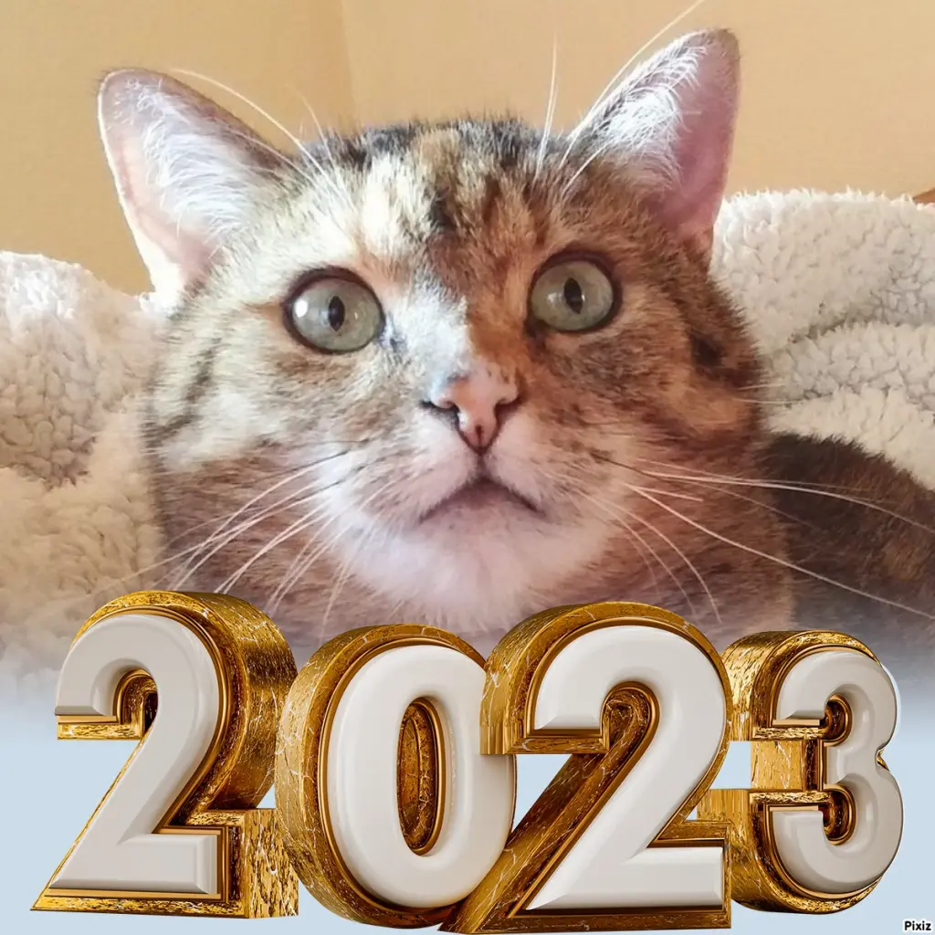 Condolence image of Neujahrsgrüße ❤️