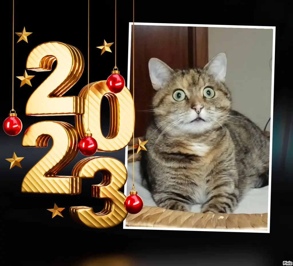 Condolence image of Neujahrsgrüße von Timmys Mutti Tanja an Sternenprinzessin Paulinchen ❤ und Mami Daniela ❤