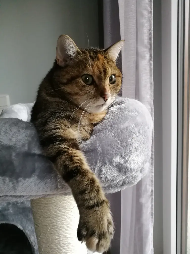 Condolence image of für mein Engelchen ❤️