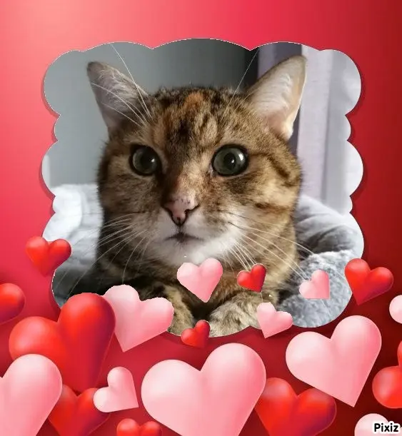 Condolence image of Patricia mit Bunny ❤️ 