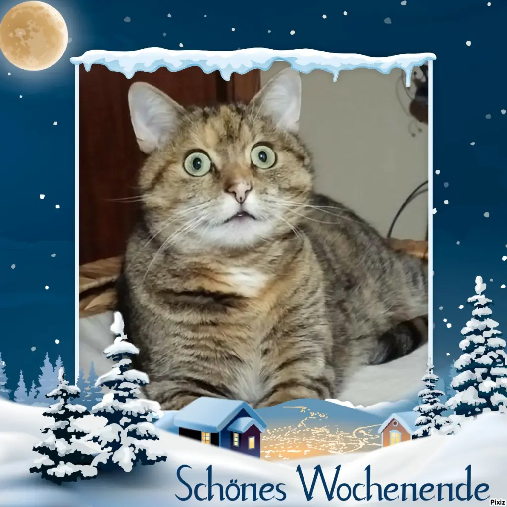 Condolence image of Tanja mit Timmy im Herzen