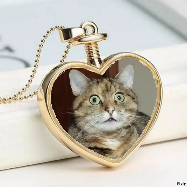 Condolence image of Tanja mit Timmy im Herzen