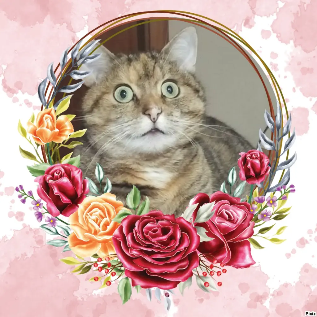 Condolence image of Tanja mit Timmy im Herzen