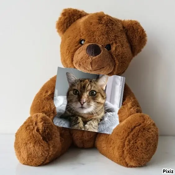 Condolence image of Patricia mit Bunny ❤️