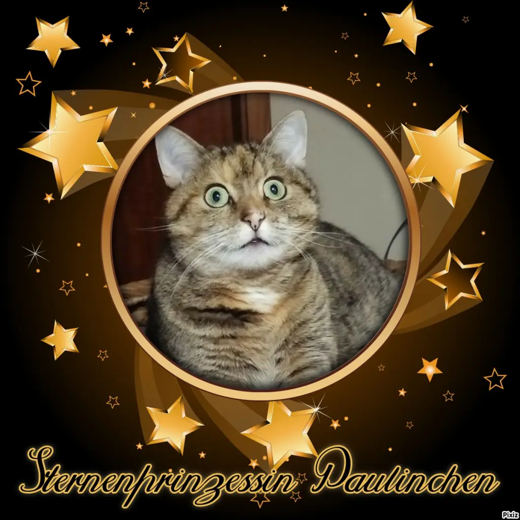 Condolence image of Tanja mit Timmy im Herzen