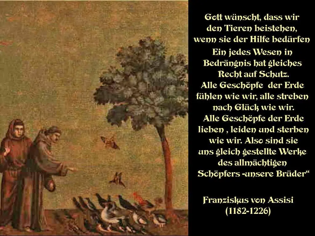 Condolence image of Katrin und Katzi im ❤️