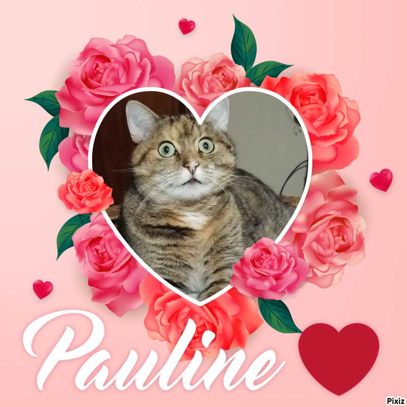 Condolence image of Tanja mit Timmy im Herzen