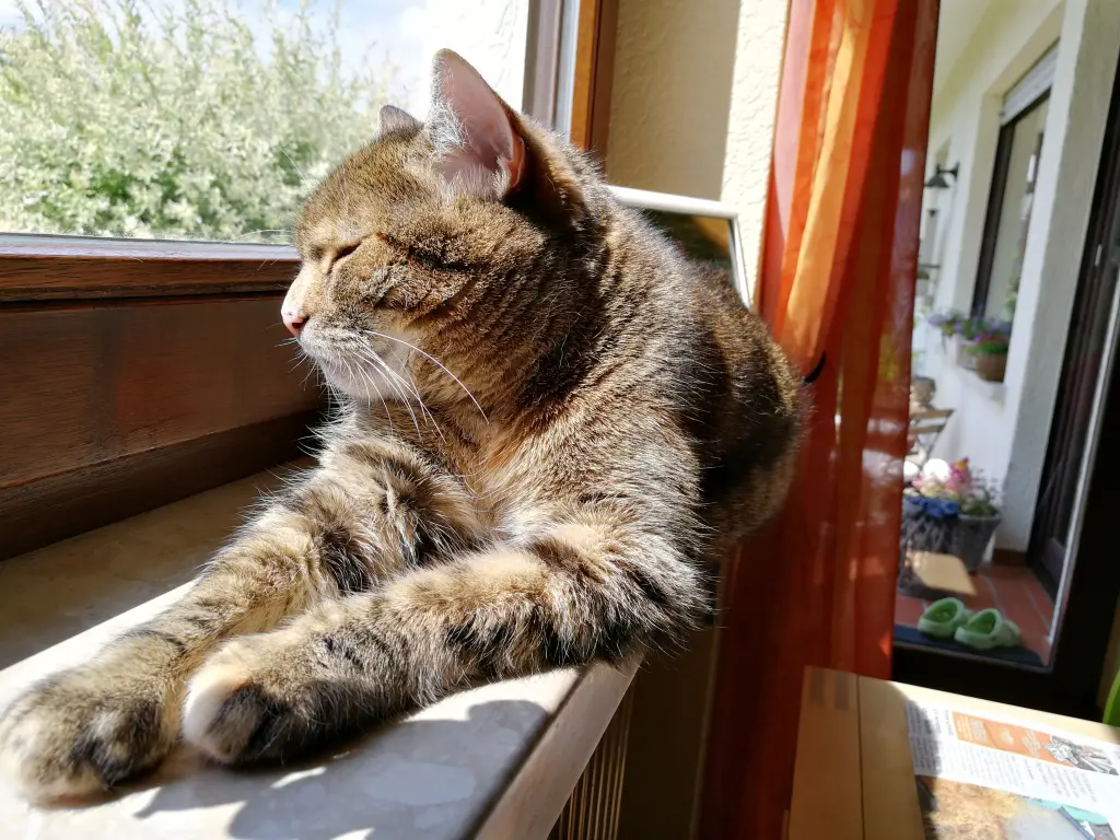 Condolence image of an mein Engelchen Pauline ❤️