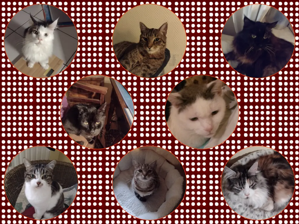 Condolence image of Corinna mit Emma, Pummelchen und anderen Sternlein im Herzen