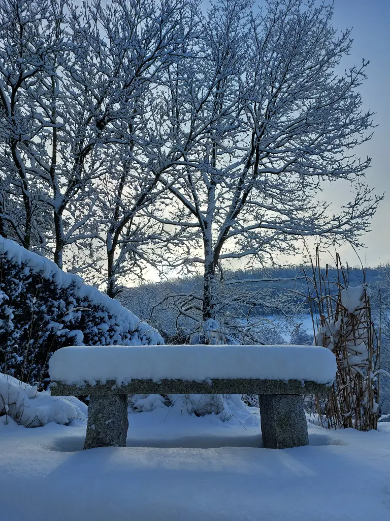 Condolence image of Herzensgrüße ins Regenbogenland ❤️ an mein liebes Tigermädchen