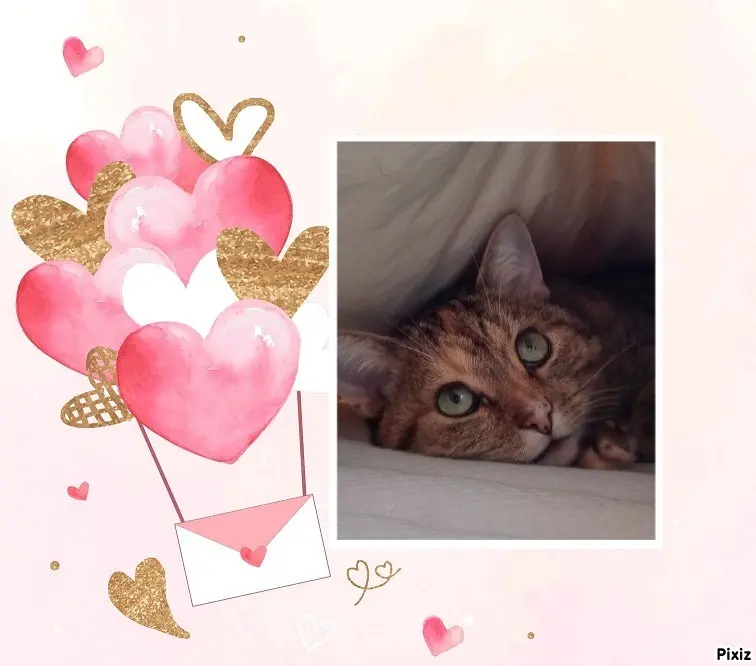 Condolence image of Patricia mit Bunny ❤️