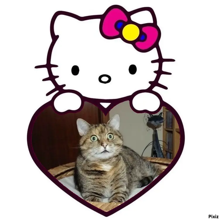 Condolence image of Tanja mit Timmy im Herzen