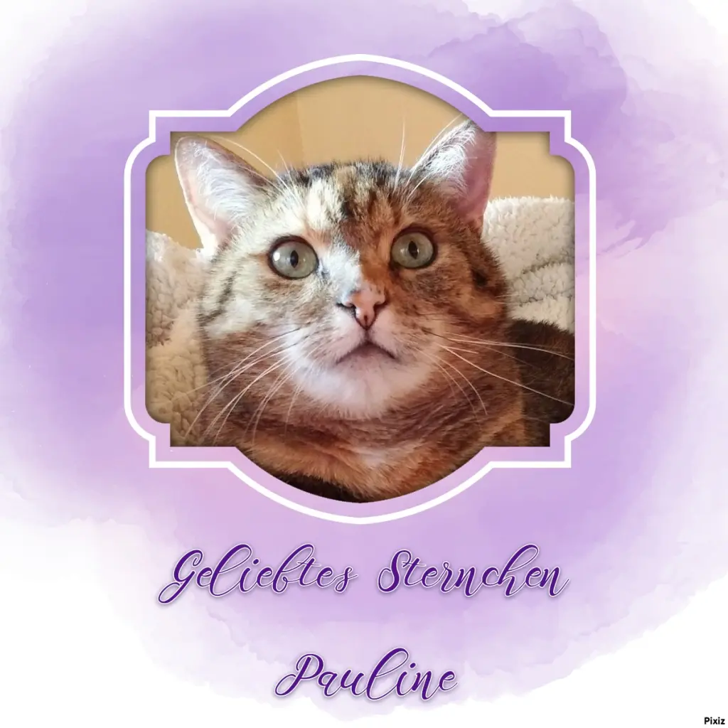 Condolence image of Patricia mit Bunny ❤️