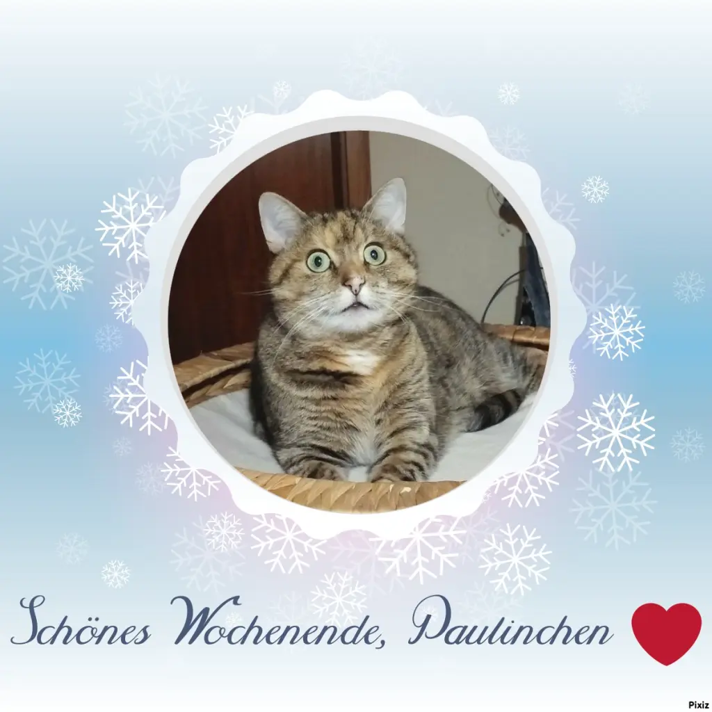 Condolence image of Tanja mit Timmy im Herzen