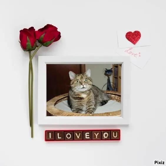 Condolence image of Tanja mit Timmy im Herzen