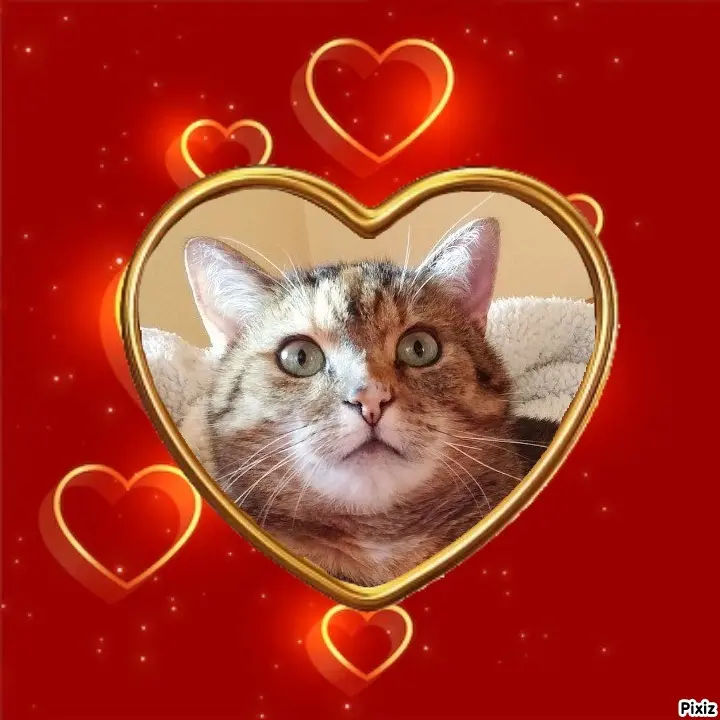 Condolence image of Patricia mit Bunny ❤️