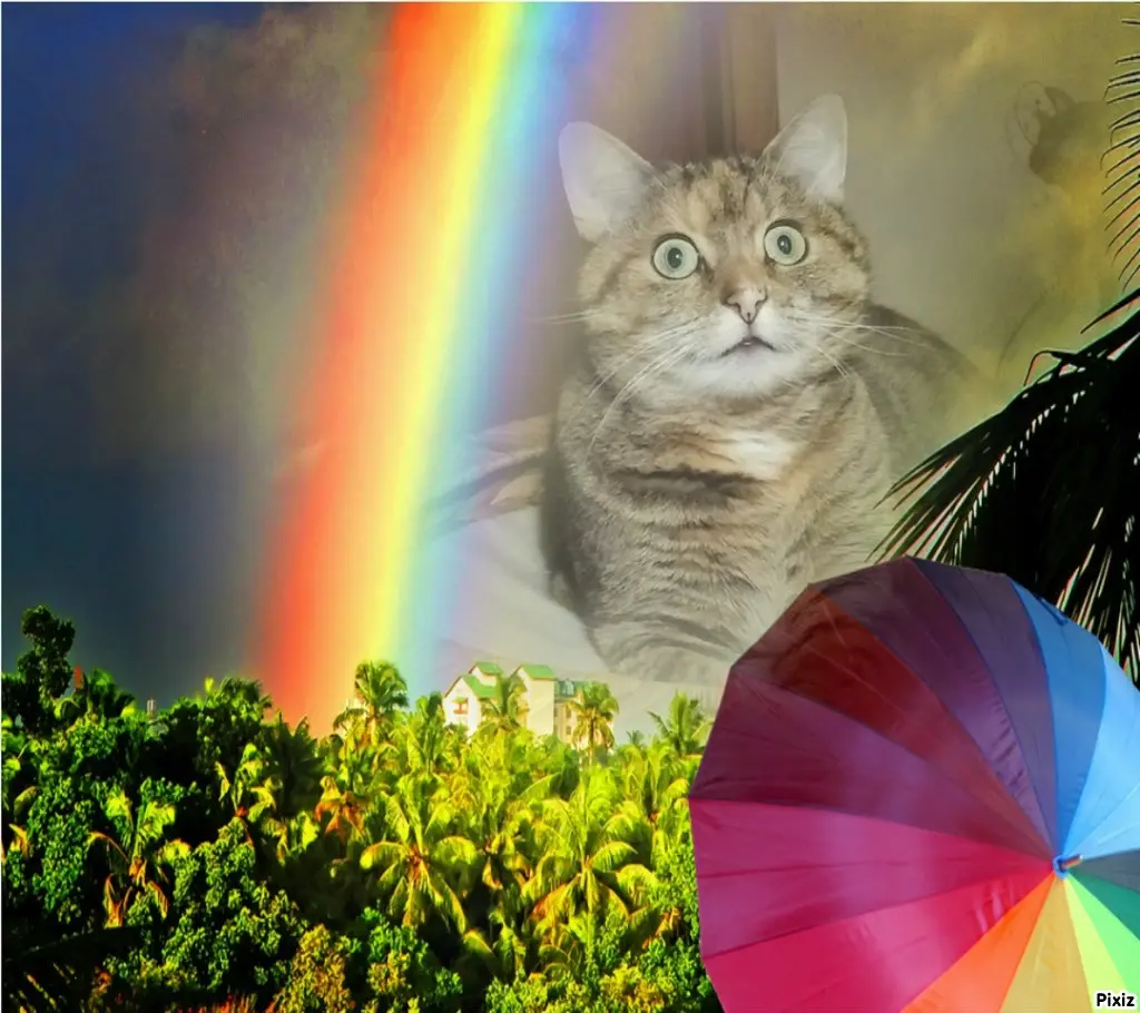 Condolence image of Tanja mit Timmy im Herzen