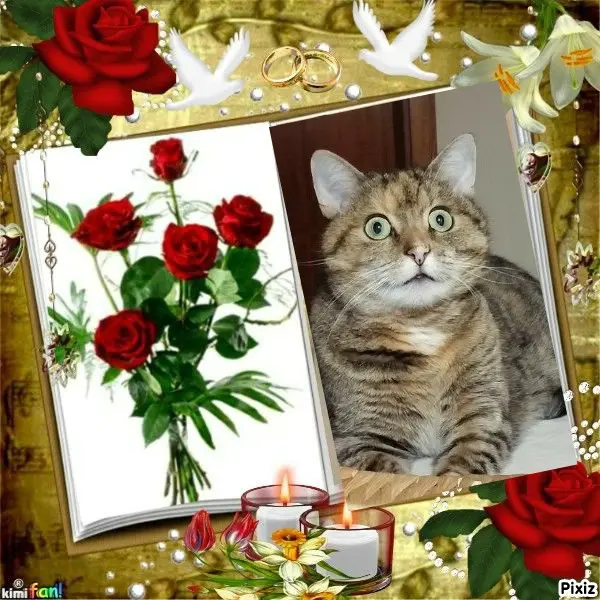 Condolence image of Tanja mit Timmy im Herzen