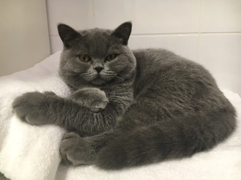 Condolence image of Emma an Pauline