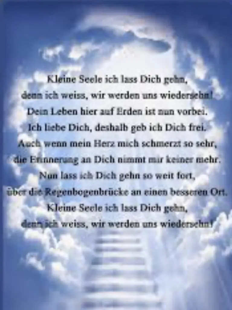 Condolence image of An Pauline und Mama Daniela