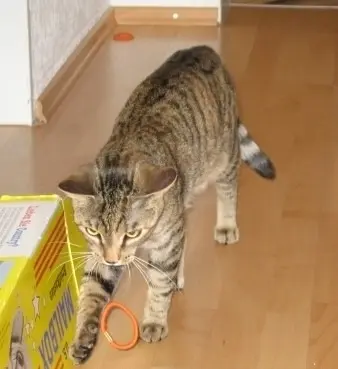 Condolence image of Elisabeth mit Marple, Christie und Arafat im ♥