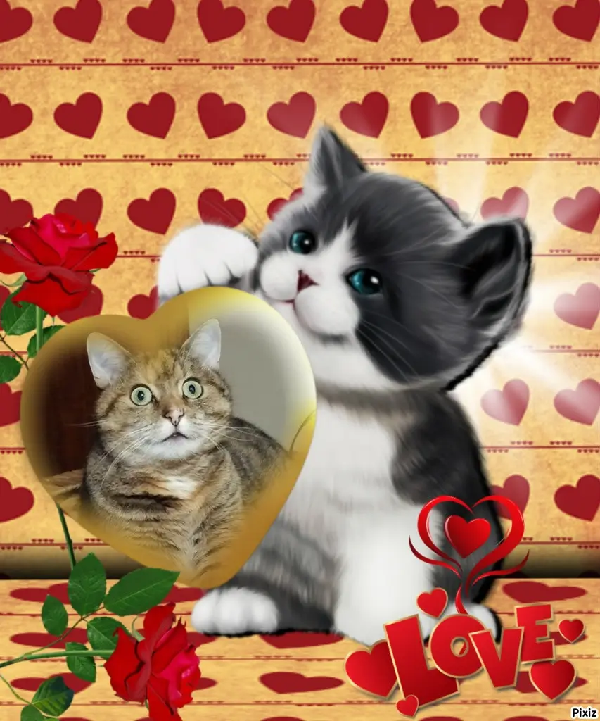 Condolence image of Tanja mit Timmy im Herzen