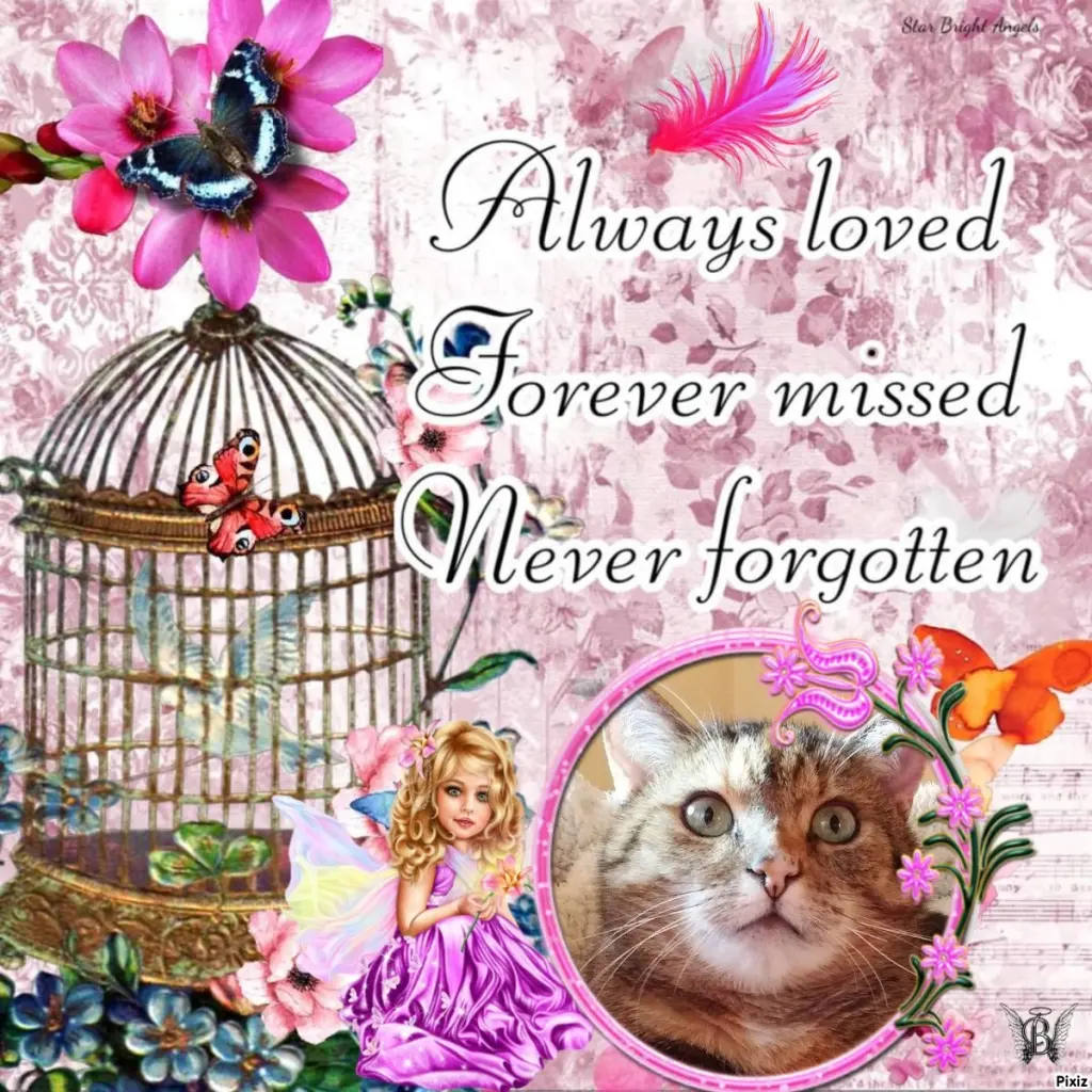 Condolence image of Patricia mit Bunny ❤️