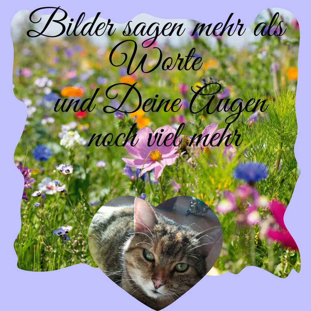 Condolence image of Corinna mit Emma, Pummelchen und anderen Sternlein im Herzen