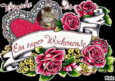 Condolence image of Tanja mit Timmy im Herzen