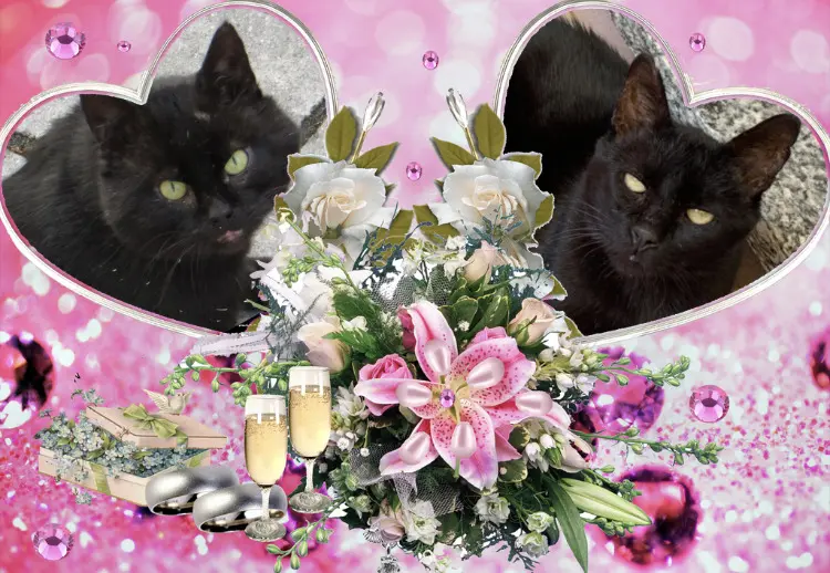 Condolence image of Zausi, Ravi und Carmen