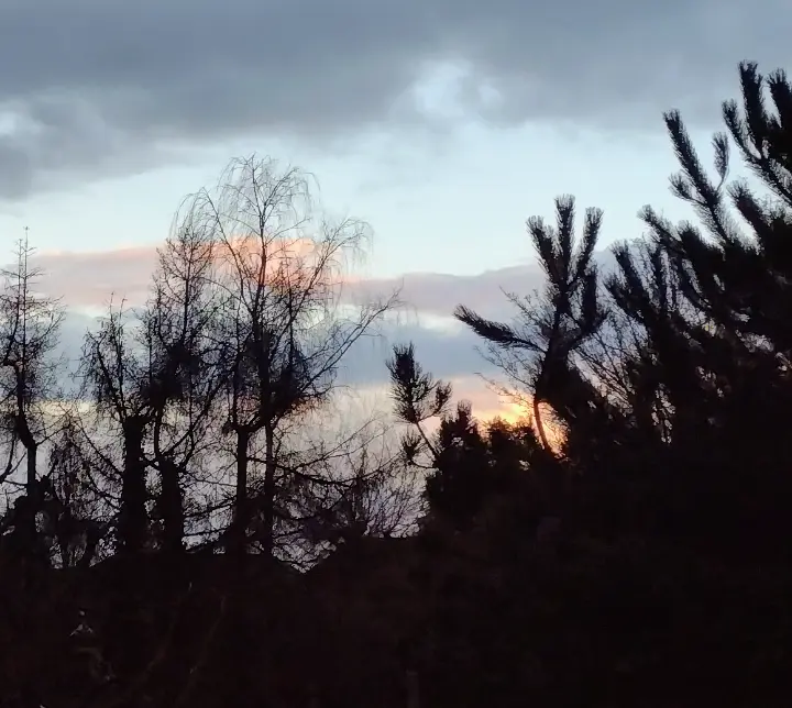 Condolence image of Corinna mit Emma, Pummelchen und anderen Sternleine im Herzen