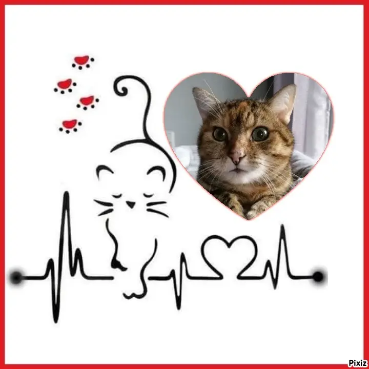 Condolence image of Patricia mit Bunny ❤️