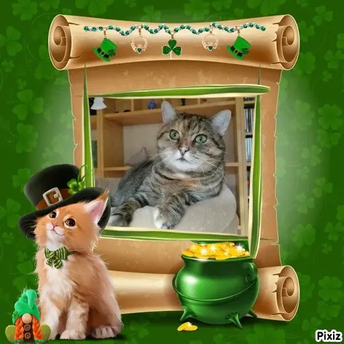 Condolence image of Tanja mit Timmy im Herzen