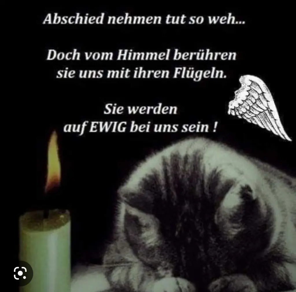 Condolence image of An Pauline und Mama Daniela