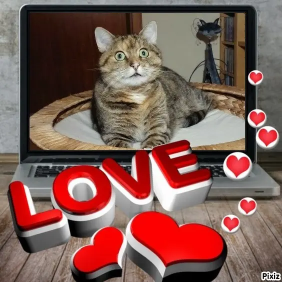 Condolence image of Tanja mit Timmy im Herzen