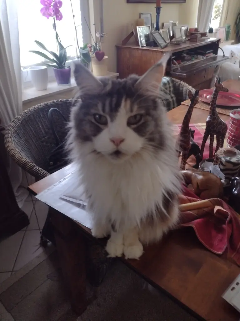 Condolence image of Kayly