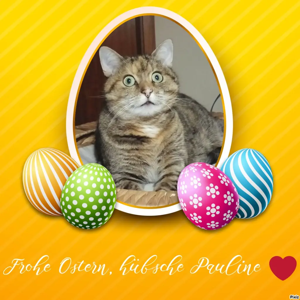 Condolence image of Tanja mit Timmy im Herzen