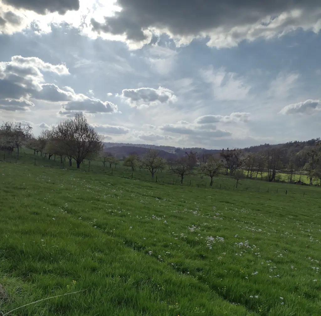 Condolence image of Corinna mit Emma, Pummelchen und anderen Sternlein im ❤️