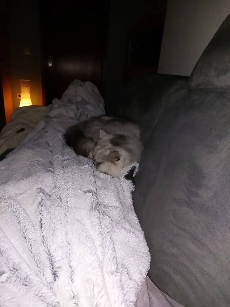 Condolence image of Mama Daniela  an Paulinchen ❤️