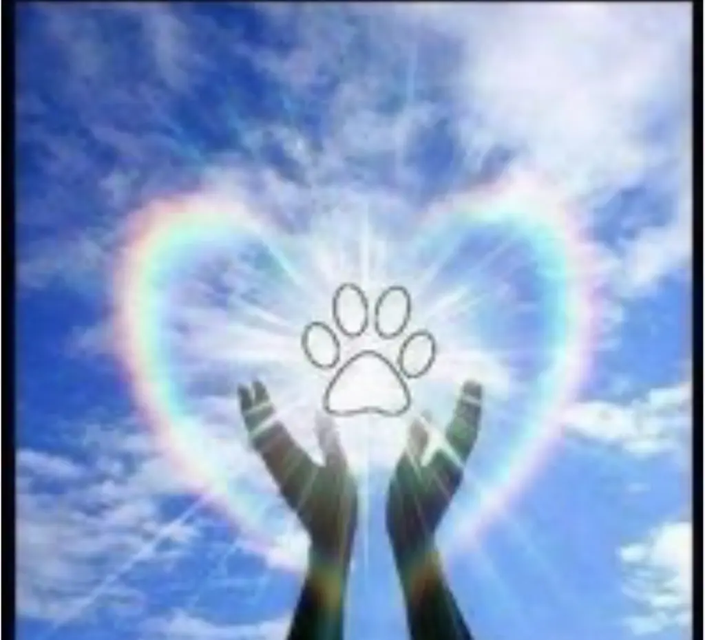 Condolence image of An Pauline und Mama Daniela