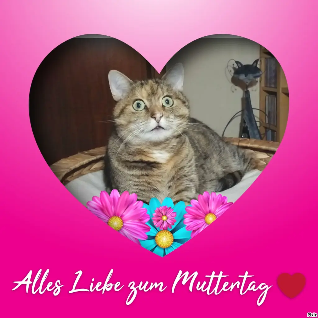 Condolence image of Post von Paulinchen an Mami Daniela ❤