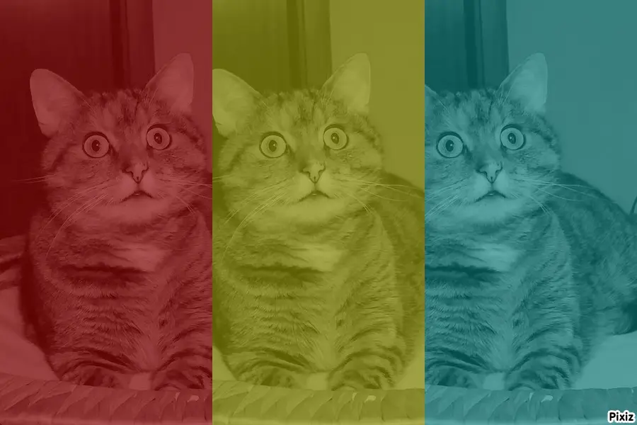 Condolence image of Tanja mit Timmy im Herzen 