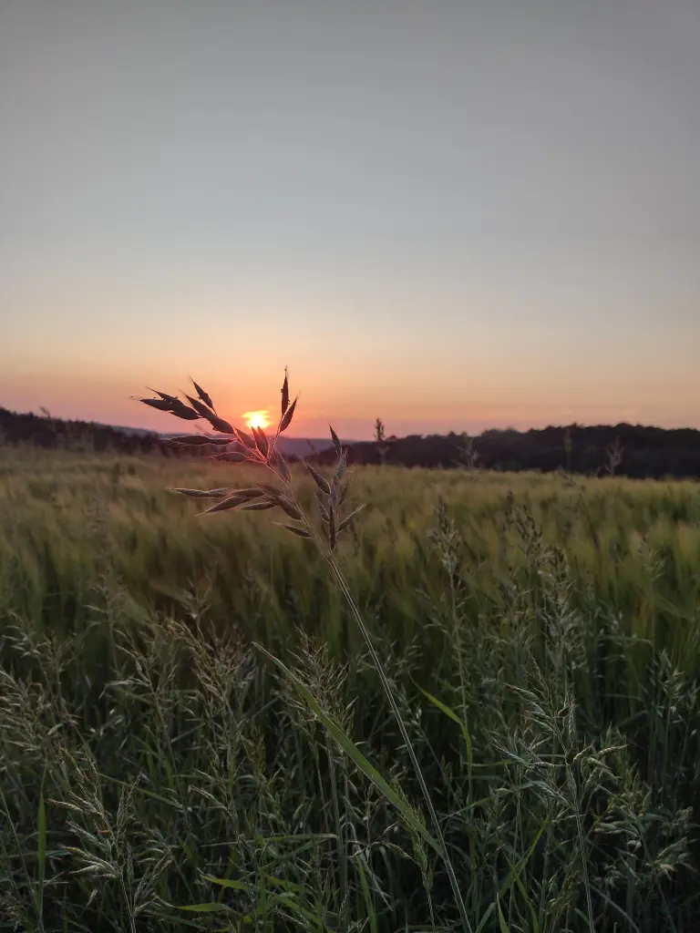 Condolence image of Corinna mit Emma, Pummelchen und anderen Sternlein im ❤️