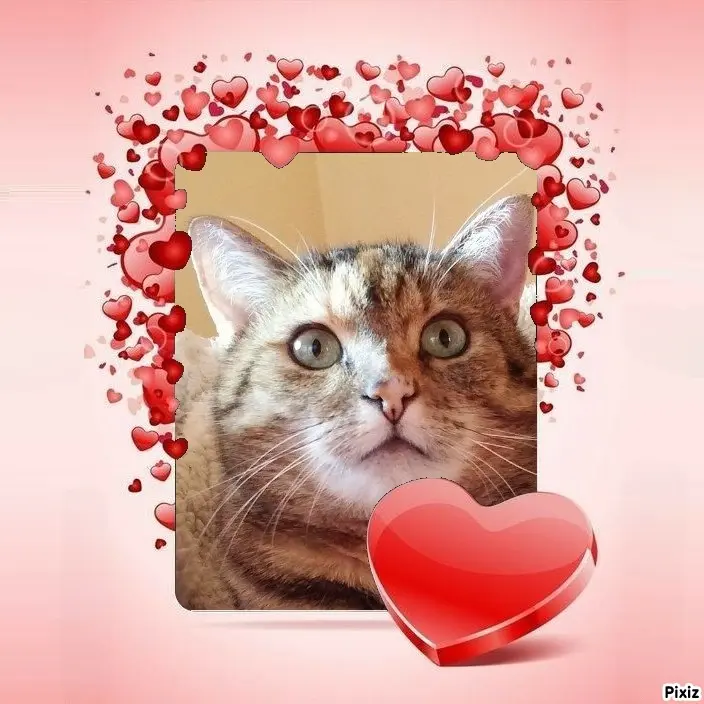 Condolence image of Sternchenpost ⭐