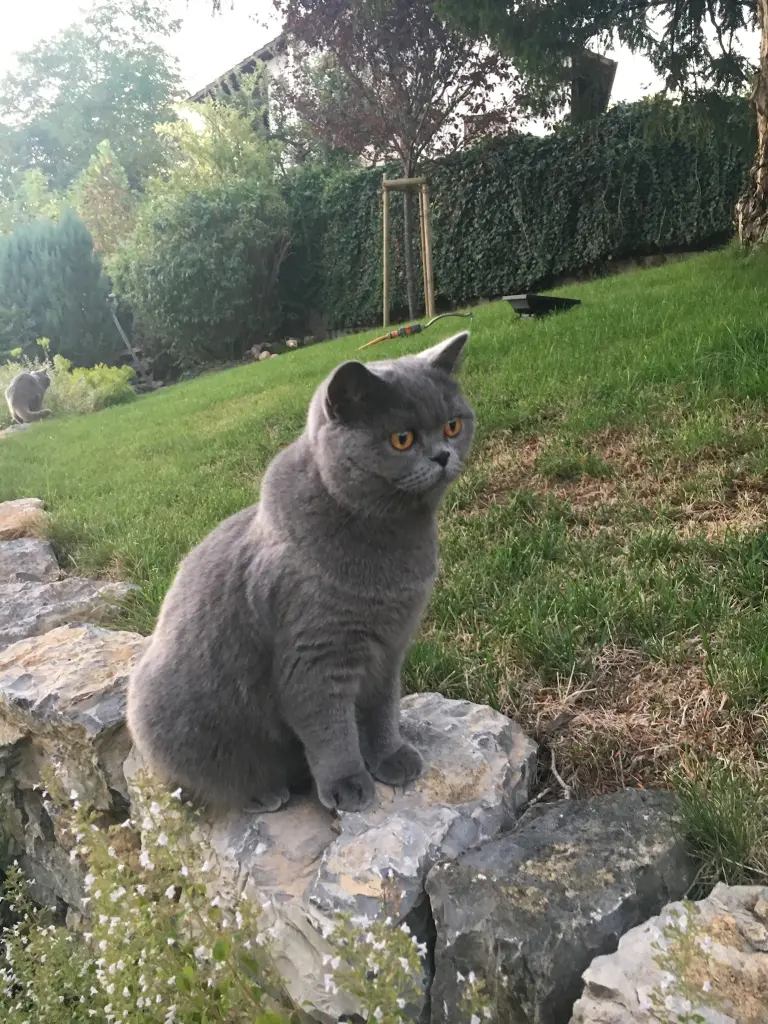 Condolence image of An Pauline und Daniela 